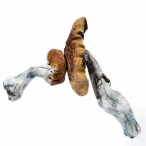 Hongo malvado azul