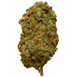Flor de CBD de Dublin Lava