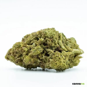 🦍 Flores de Gorilla Glue 10-OH 30%