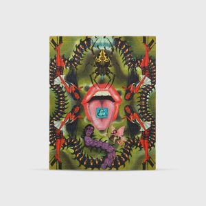 Papel secante PsychedelicExplorer 1S-LSD (150 mcg)